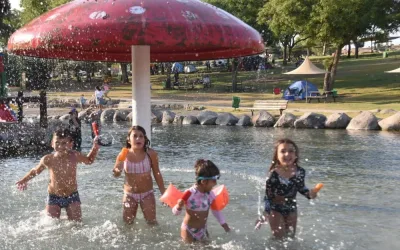 אביהו-שפירא-1